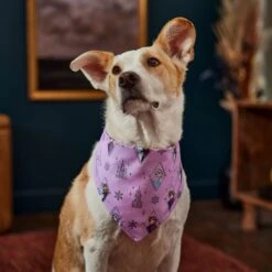 Disney Frozen Pattern Dog & Cat Bandana -Mewhaus Shop 354062 PT6. AC SS1800 V1660750168