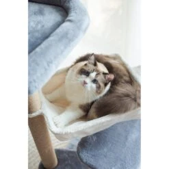 Catry 42.1-in Oak 7-Level Cat Tree With Jute Scratching Posts & Cozy Hammock -Mewhaus Shop 354549 PT4. AC SS1800 V1640317623