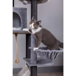 Catry Interactive 7-Level Cat Tree With Condo, Scratching Posts, & Toys 12 Catry Interactive 7-Level Cat Tree With Condo, Scratching Posts, & Toys -Mewhaus Shop 354554 PT3. AC SS1800 V1640317068
