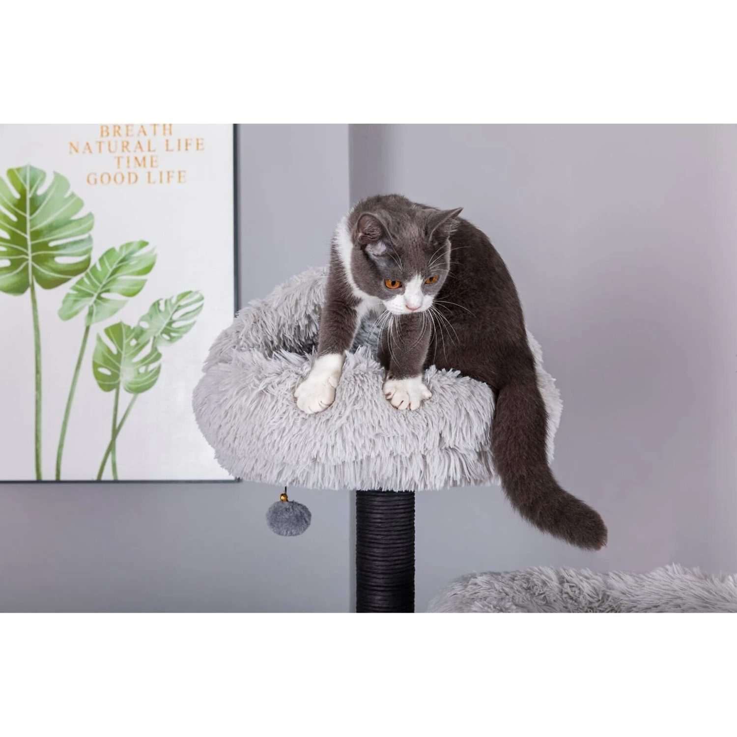 Catry Interactive 7-Level Cat Tree With Condo, Scratching Posts, & Toys 5 Catry Interactive 7-Level Cat Tree With Condo, Scratching Posts, & Toys - Image 5