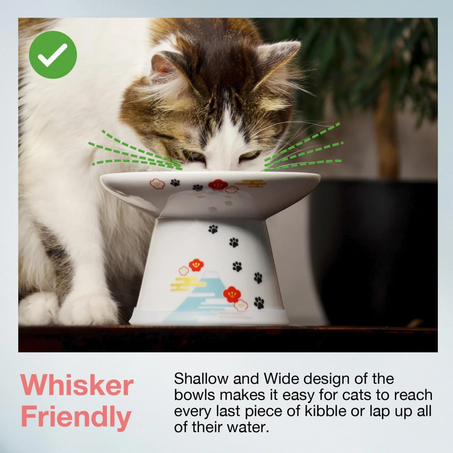 Necoichi Extra Wide Raised Cat Food Bowl 3 Necoichi Extra Wide Raised Cat Food Bowl - Image 3