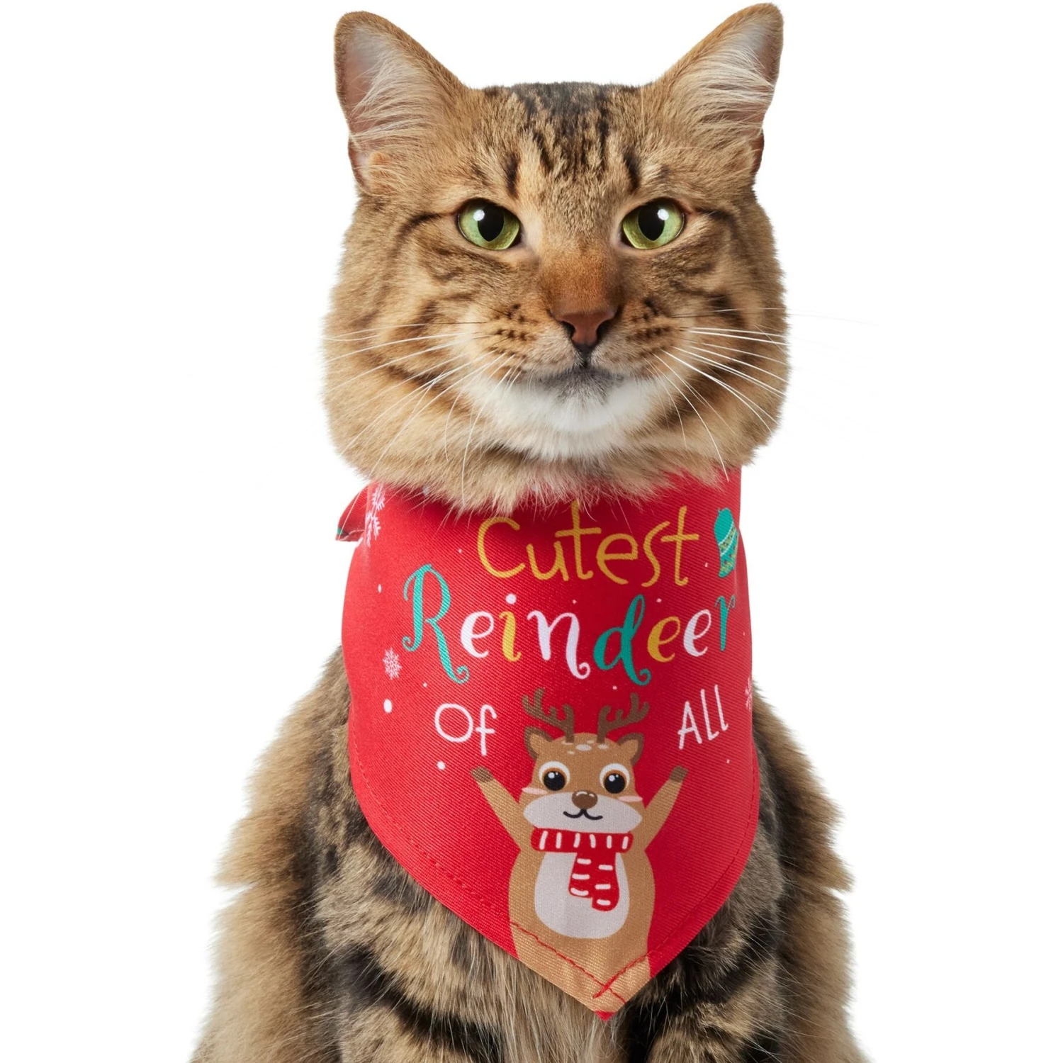 Frisco Cutest Reindeer Of All Dog & Cat Bandana 1 Frisco Cutest Reindeer Of All Dog & Cat Bandana
