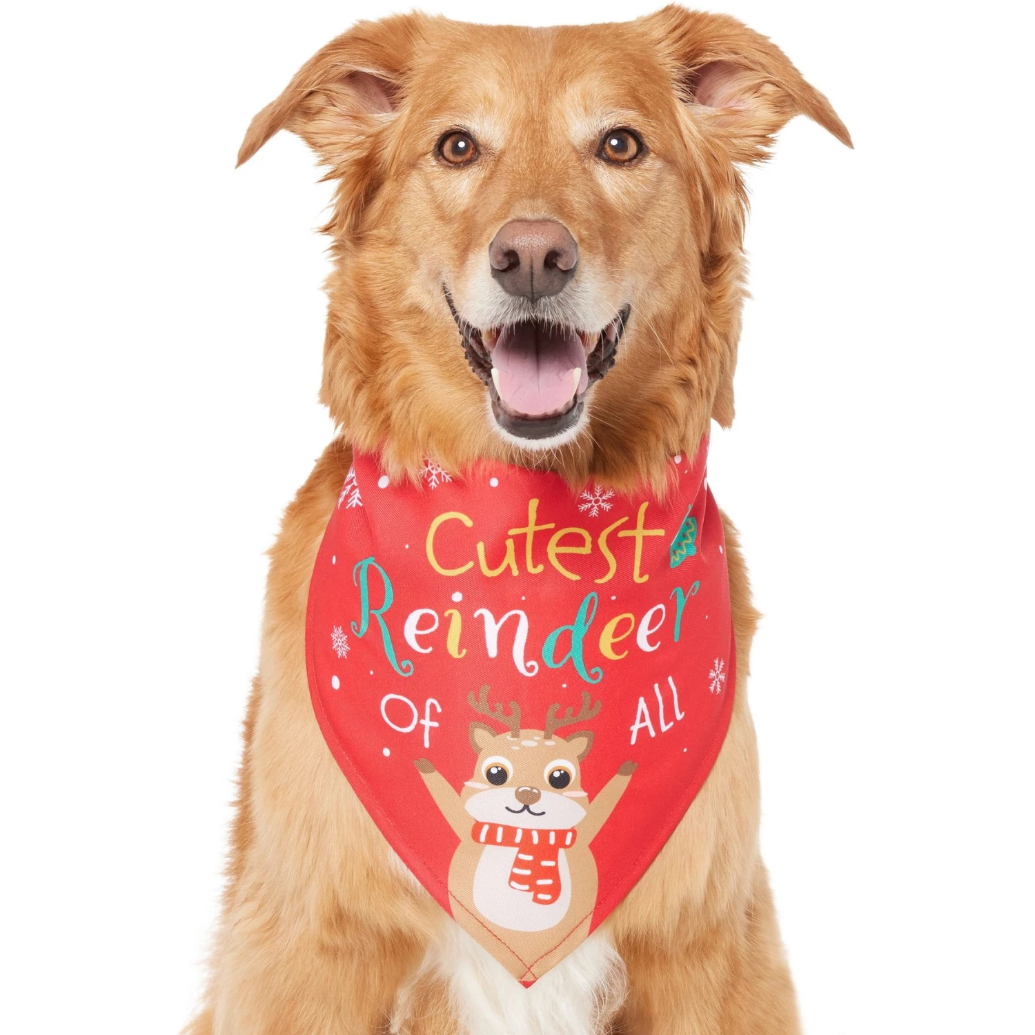 Frisco Cutest Reindeer Of All Dog & Cat Bandana 3 Frisco Cutest Reindeer Of All Dog & Cat Bandana - Image 3