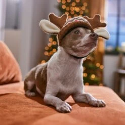 Frisco Antler Fair Isle Dog & Cat Hat 10 Frisco Antler Fair Isle Dog & Cat Hat -Mewhaus Shop 358313 PT4. AC SS1800 V1661798696