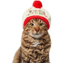 STAR WARS Knit Dog & Cat Hat 7 STAR WARS Knit Dog & Cat Hat -Mewhaus Shop 358443 PT2. AC SS1800 V1660703930