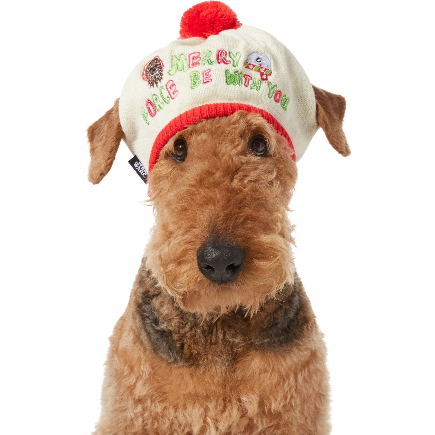 STAR WARS Knit Dog & Cat Hat 4 STAR WARS Knit Dog & Cat Hat - Image 4