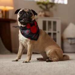 Disney Minnie Mouse Plaid Dog & Cat Bandana 12 Disney Minnie Mouse Plaid Dog & Cat Bandana -Mewhaus Shop 361491 PT6. AC SS1800 V1661798242