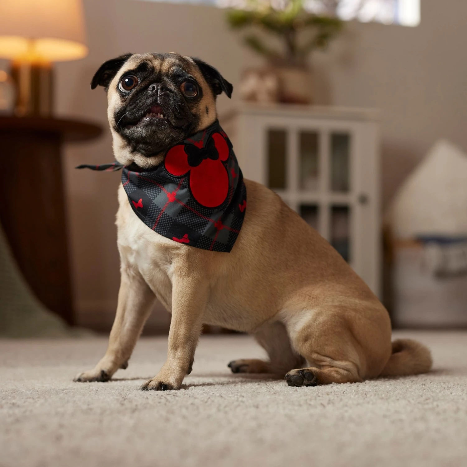 Disney Minnie Mouse Plaid Dog & Cat Bandana 6 Disney Minnie Mouse Plaid Dog & Cat Bandana - Image 6