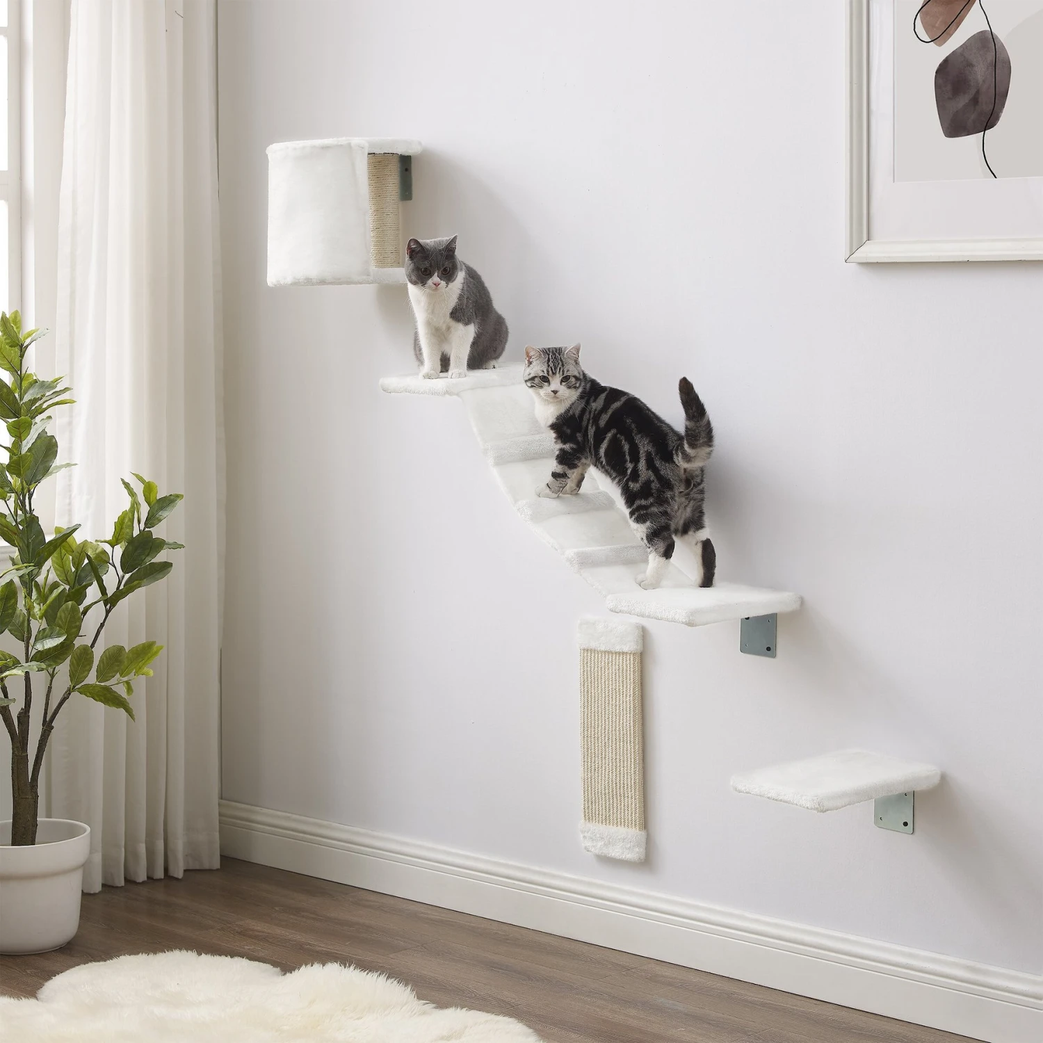Sam's Pets Addison Wall Climber Cat Tree 1 Sam's Pets Addison Wall Climber Cat Tree