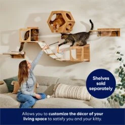Frisco Hexagon Wall Mounted Cat Wall Shelf -Mewhaus Shop 373445 PT3. AC SS1800 V1675692702