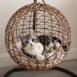 Sam's Pets Nala Hanging Egg Cat Condo -Mewhaus Shop 373517 PT2. AC SS1800 V1647641250