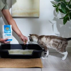 Dr. Elsey's Precious Cat Ultra Litter Attractant -Mewhaus Shop 47187 PT4. AC SS1800 V1680789681