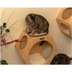 Armarkat Real Wood Cat Wall Additions, Natural Beige, 2 Count -Mewhaus Shop 515630 PT5. AC SS1800 V1649349399