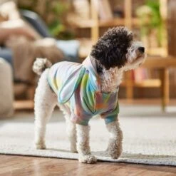 Frisco Wash Effect Bunny Ear Hoodie 16 Frisco Wash Effect Bunny Ear Hoodie -Mewhaus Shop 521374 PT7. AC SS1800 V1699653757