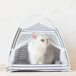 Lovely Caves Stripe Dog & Cat Tent, Gray, Medium 6 Lovely Caves Stripe Dog & Cat Tent, Gray, Medium -Mewhaus Shop 525774 PT2. AC SS1800 V1658284501