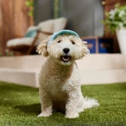 Frisco Blue Ocean Waves 30 + UPF Dog & Cat Beach Cap -Mewhaus Shop 556182 PT5. AC SS1800 V1675714092