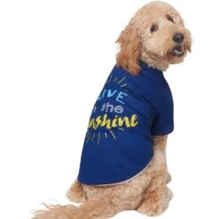 Frisco I Live In The Sunshine Dog & Cat T-Shirt -Mewhaus Shop 556222 PT3. AC SS1800 V1674829145
