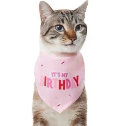 Frisco Dog & Cat Birthday Bandana 10 Frisco Dog & Cat Birthday Bandana -Mewhaus Shop 608206 PT2. AC SS1800 V1676644511