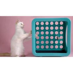 Kitty Kasa Snap On Recreation Cat House -Mewhaus Shop 622038 PT2. AC SS1800 V1663191239