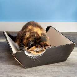 Omega Paw Ripple Board Scratch Massage Cat Bed -Mewhaus Shop 62557 PT8. AC SS1800 V1497022713