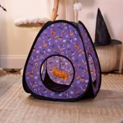 Goody Box Halloween Cat Toys & Treats 12 Goody Box Halloween Cat Toys & Treats -Mewhaus Shop 631182 PT4. AC SS1800 V1690839980