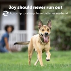 PetSafe RFA-67 6 Volt Replacement Batteries -Mewhaus Shop 63653 PT4. AC SS1800 V1687288702