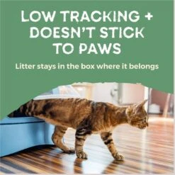 Naturally Fresh Quick Clumping Unscented Cat Litter, 40-lb Bag -Mewhaus Shop 639646 PT7. AC SS1800 V1664228407