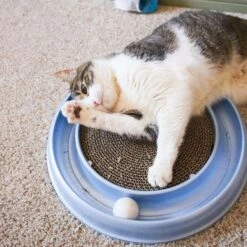 Bergan Scratcher Replacement Pads, 2 Count -Mewhaus Shop 64228 PT4. AC SS1800 V1673648563