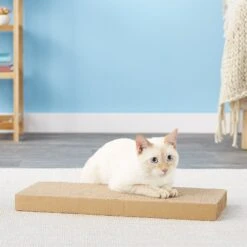 Scratch Lounge Reversible Replacement Scratch Floor Cat Toy -Mewhaus Shop 64395 PT5. AC SS1800 V1525720008