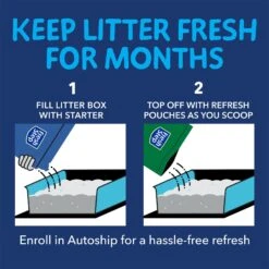 Fresh Step Outstretch Always Fresh Litter System, Starter Kit 16-lb Box & 7-lb Pouch -Mewhaus Shop 645654 PT3. AC SS1800 V1694465156