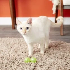 Catit Design Senses Circuit Motion Activated Illuminated Balls Cat Toy -Mewhaus Shop 64982 PT5. AC SS1800 V1527256178