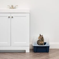 IRIS USA Open Top Litter Box With Scatter Shield -Mewhaus Shop 65498 PT2. AC SS1800 V1680803978