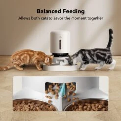 Petlibro Granary Automatic Two Cat & Dog Feeder With Camera -Mewhaus Shop 661270 PT6. AC SS1800 V1665174479