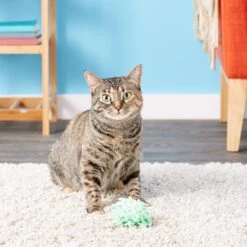 KONG Moppy Ball Cat Toy, Color Varies -Mewhaus Shop 66570 PT6. AC SS1800 V1603164687