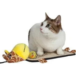 Pet Life Paw-Pleasant Eco-Natural Sisal & Jute Hanging Carpet Kitty Cat Scratcher & Toy -Mewhaus Shop 667622 PT2. AC SS1800 V1665608535