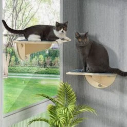 Coziwow Cat Window Perch With Suction Cups, Natural Wood