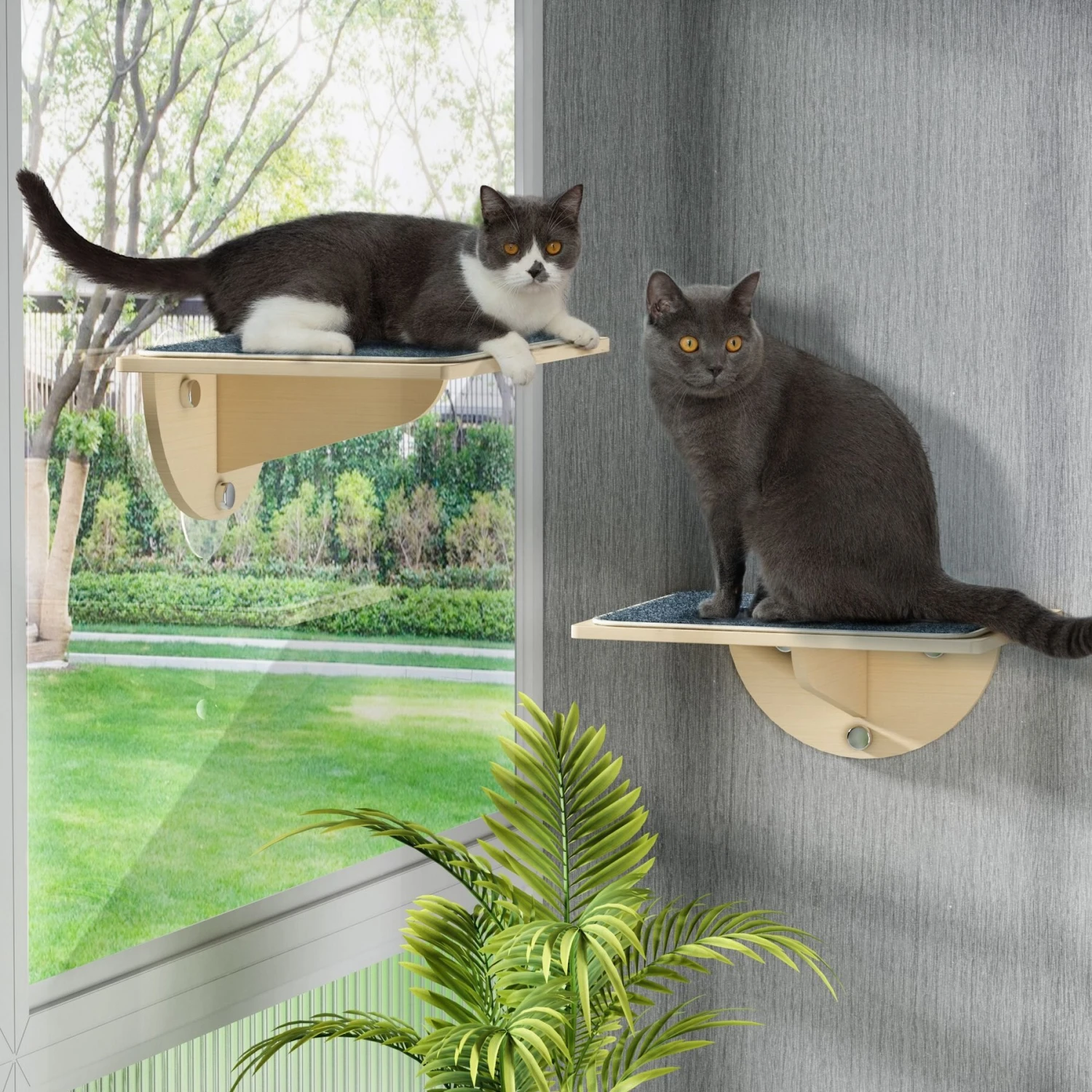 Coziwow Cat Window Perch With Suction Cups, Natural Wood 1 Coziwow Cat Window Perch With Suction Cups, Natural Wood