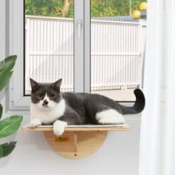 Coziwow Cat Window Perch With Suction Cups, Natural Wood 11 Coziwow Cat Window Perch With Suction Cups, Natural Wood -Mewhaus Shop 668486 PT2. AC SS1800 V1666733674
