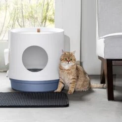 Hanamya Cat Litter Box With Scoop & Scratcher -Mewhaus Shop 677142 PT8. AC SS1800 V1680728860