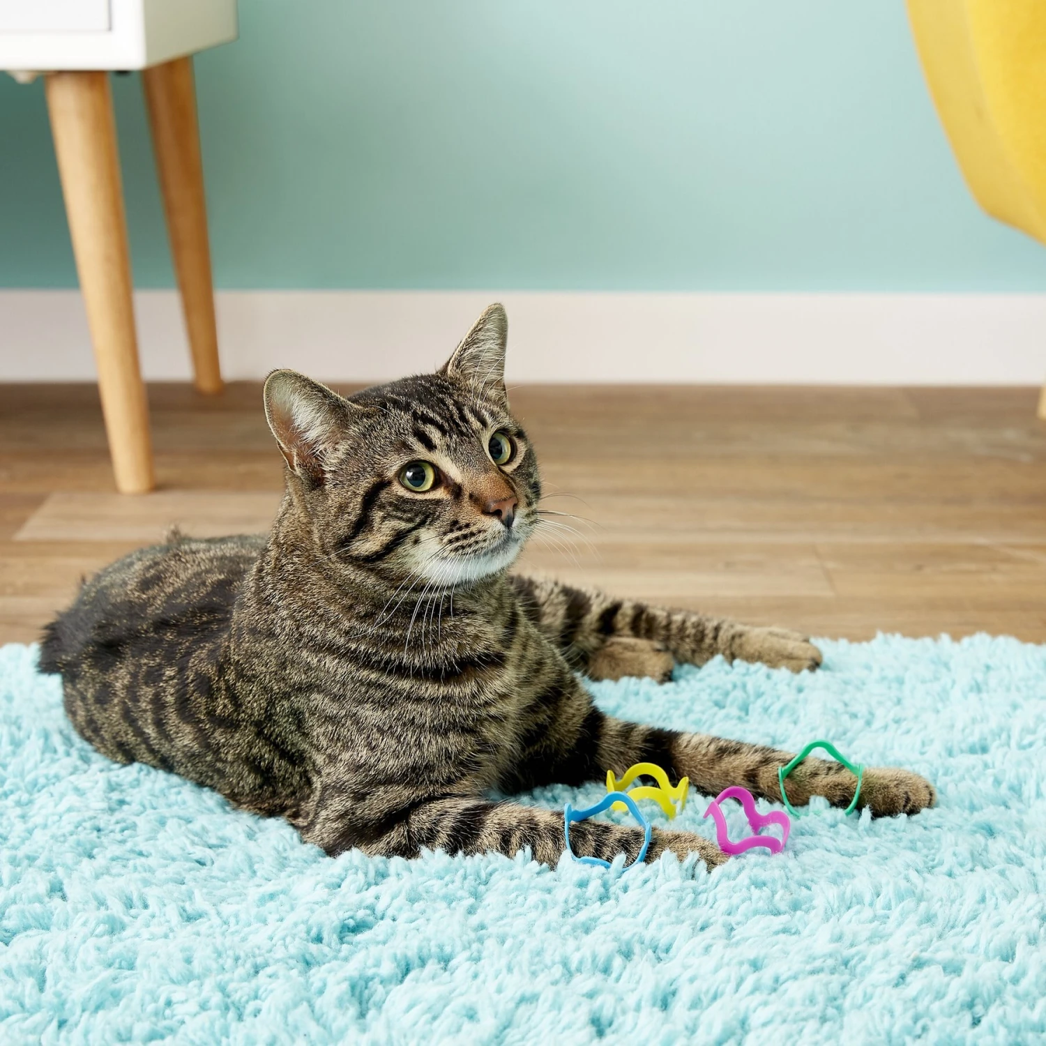 Fat Cat Crazies Playrings Cat Toy 4 Fat Cat Crazies Playrings Cat Toy - Image 4