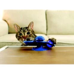 Pets Know Best Purrfect Spinner Cat Toy, Blue -Mewhaus Shop 691606 PT2. AC SS1800 V1667519297