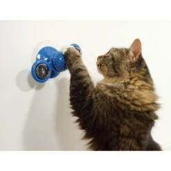 Pets Know Best Purrfect Spinner Cat Toy, Blue -Mewhaus Shop 691606 PT3. AC SS1800 V1667518876