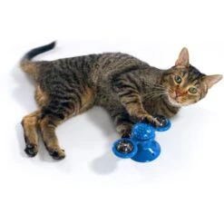 Pets Know Best Purrfect Spinner Cat Toy, Blue -Mewhaus Shop 691606 PT4. AC SS1800 V1667518400