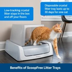 PetSafe ScoopFree Complete Disposable Crystal Litter Tray & PetSafe ScoopFree Complete Plus Self-Cleaning Litter Box 12 PetSafe ScoopFree Complete Disposable Crystal Litter Tray & PetSafe ScoopFree Complete Plus Self-Cleaning Litter Box -Mewhaus Shop 694182 PT3. AC SS1800 V1668531824