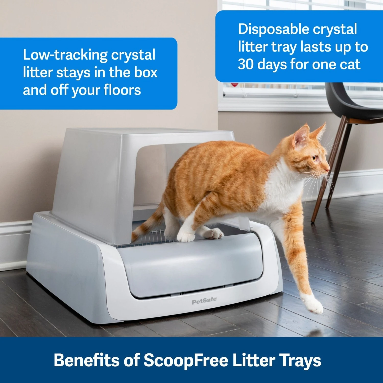 PetSafe ScoopFree Complete Disposable Crystal Litter Tray & PetSafe ScoopFree Complete Plus Self-Cleaning Litter Box 4 PetSafe ScoopFree Complete Disposable Crystal Litter Tray & PetSafe ScoopFree Complete Plus Self-Cleaning Litter Box - Image 4