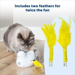 PetSafe Peek-A-Bird Replacement Feather Cat Toy, Yellow, 2 Count -Mewhaus Shop 696502 PT2. AC SS1800 V1667343733