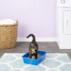 Van Ness Cat Litter Pan, Blue