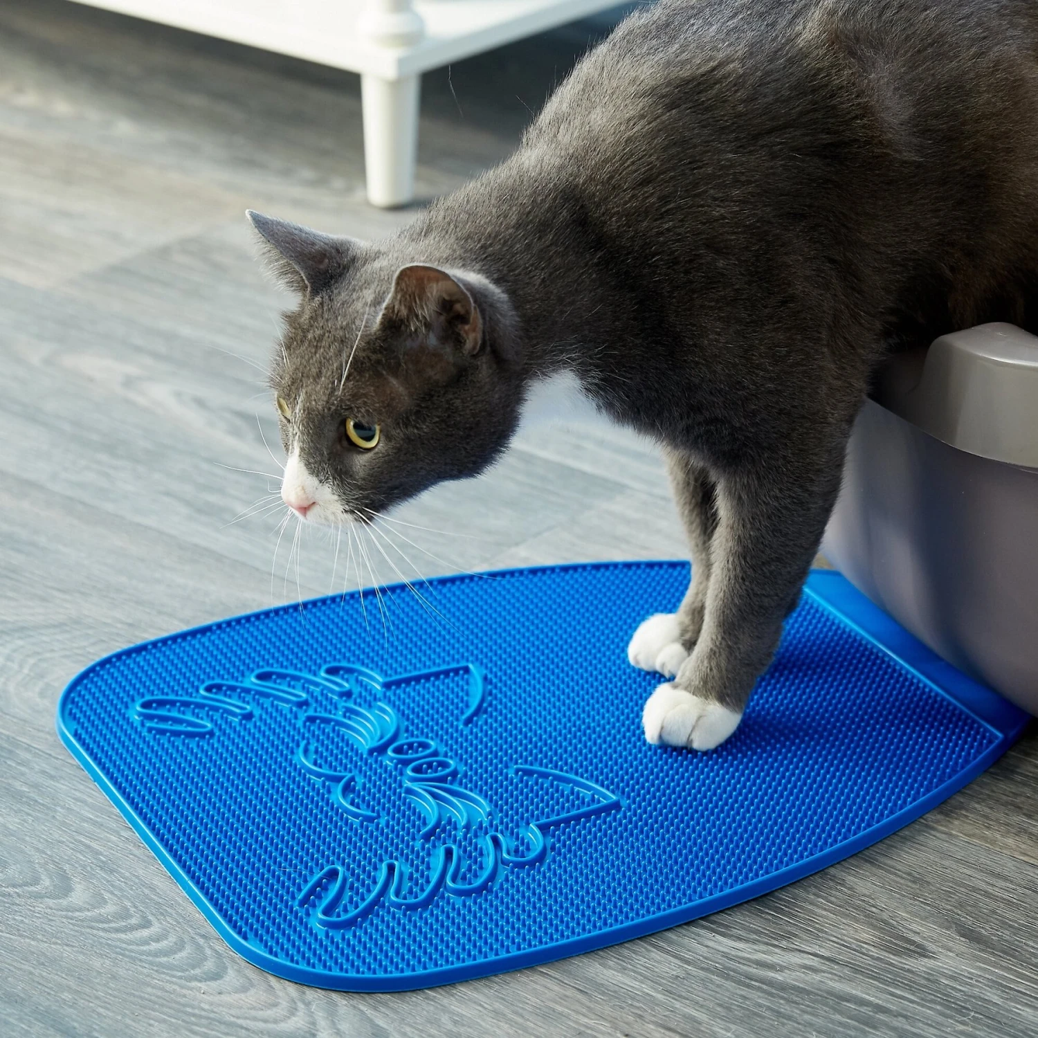 Van Ness Track-Less Litter Mat 2 Van Ness Track-Less Litter Mat - Image 2