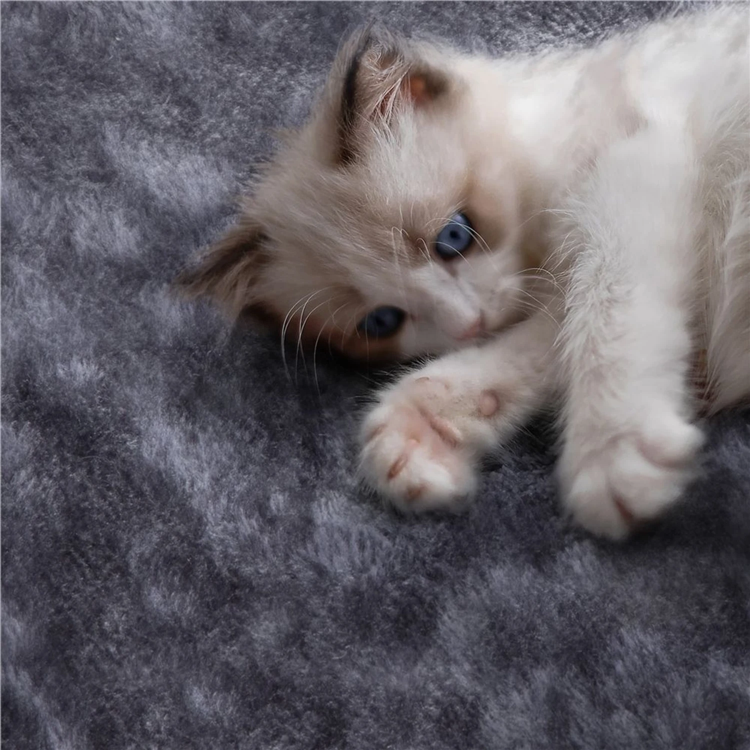 Yaheetech 3-Level Plush Cat Tree, Dark Gray, Medium 4 Yaheetech 3-Level Plush Cat Tree, Dark Gray, Medium - Image 4