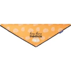 Frisco Hey There Pumpkin Dog & Cat Bandana -Mewhaus Shop 706374 PT3. AC SS1800 V1689282446